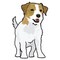 Signmission Russel Terrier Dog Decal, Dog Lover Decor Vinyl Sticker D-12-Russel Terrier - alternate 1